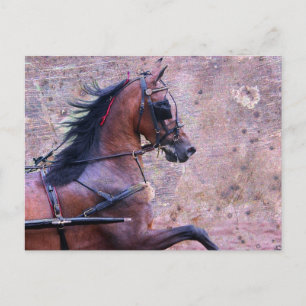 Carte Postale Hackney Grunge