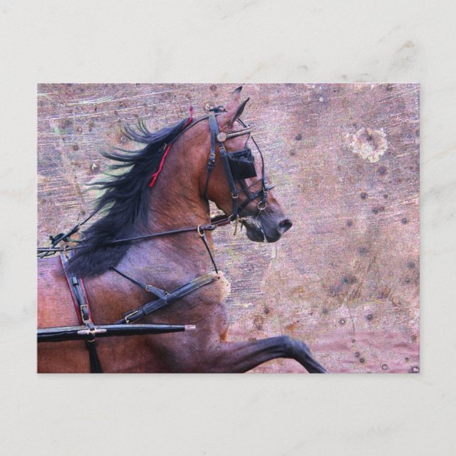 Carte Postale Hackney Grunge (Devant)