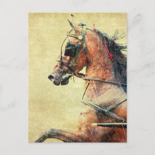 Carte Postale Hackney Pony