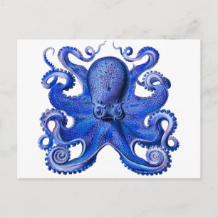 Carte Postale Haeckel Octopus Blue