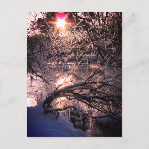Carte Postale Hafren / Severn en hiver
