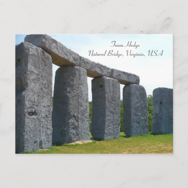 Carte Postale Haie de mousse (Devant)