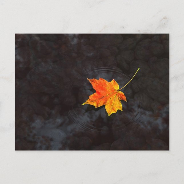 Carte postale Haiku (Devant)