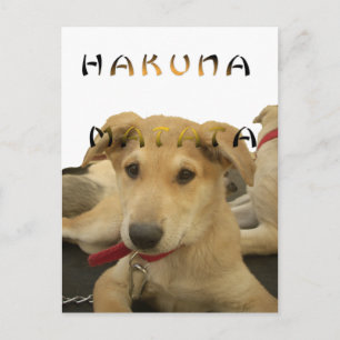 Carte Postale Hakuna Matata Je sais ce que vous pensez photo