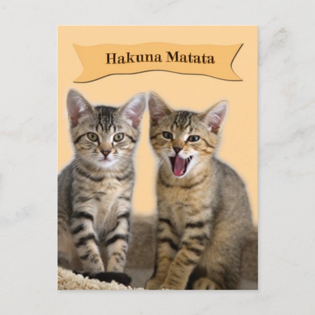 Carte postale Hakuna Matata Kitten (Devant)