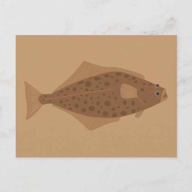 Carte Postale Halibut Fish (Devant)