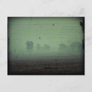 Carte postale Halloween