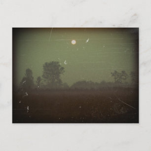 Carte postale Halloween