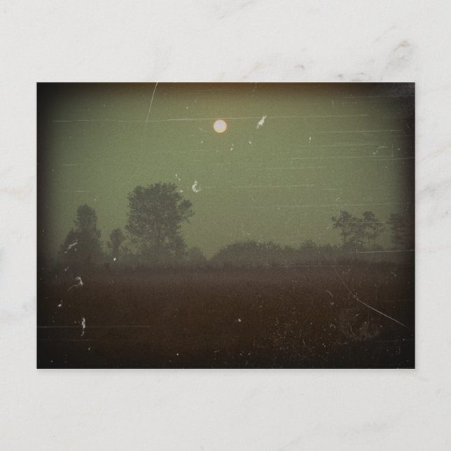 Carte postale Halloween (Devant)