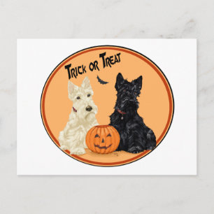 Carte Postale Halloween à Wheaten et à Black Scottish Terriers