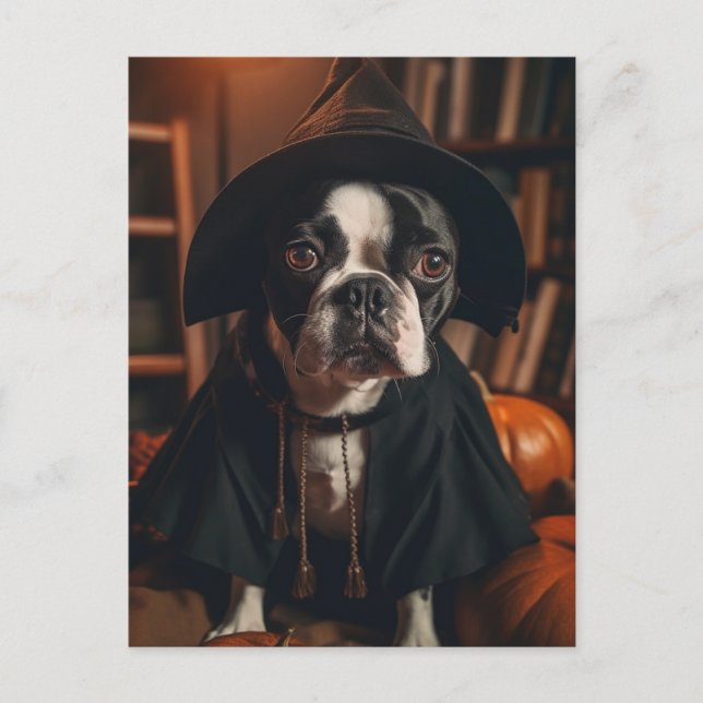 Carte Postale Halloween Boston Terrier (Devant)