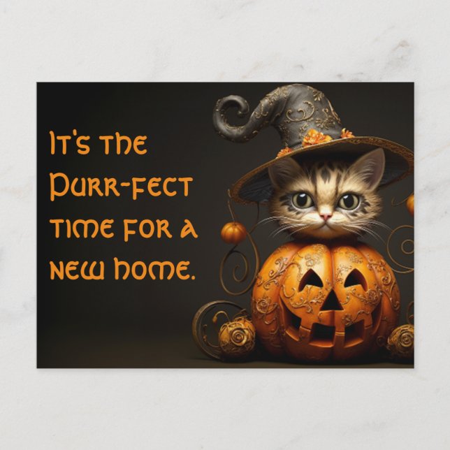 Carte Postale Halloween Cat Immobilier Marketing (Devant)