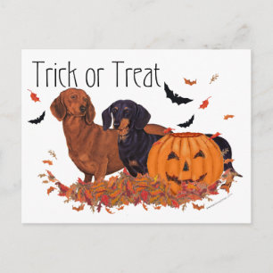 Carte Postale Halloween Dachshunds