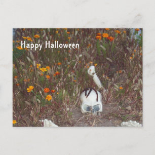 Carte Postale Halloween déco faux squelette à Marigolds