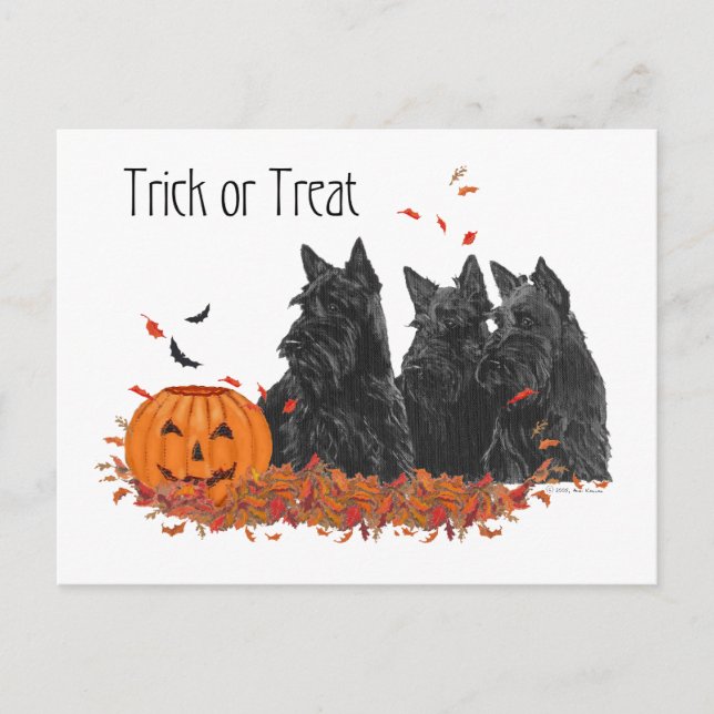 Carte Postale Halloween des Terriers écossais (Devant)