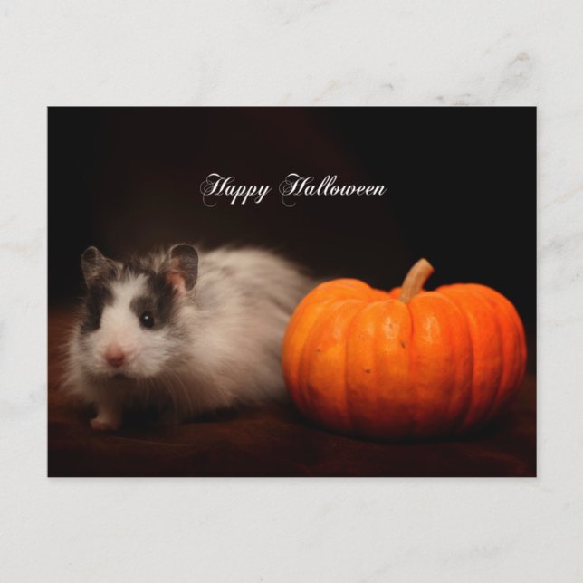 Carte Postale Halloween d'Oreo (Devant)