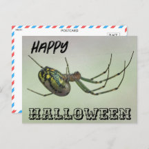 Halloween éffrayant Spider