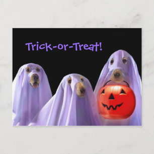 Carte postale Halloween Ghost Dogs Trick or Treati