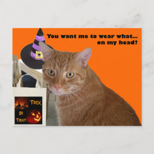 Carte Postale Halloween Kitty - Wear What