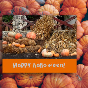Carte Postale Halloween Orange pomkine rustique