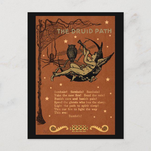 Carte Postale Halloween Samhain Fairy Owl Spider Web (Devant)