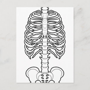 Carte Postale Halloween squelette effrayant