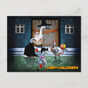 Carte Postale Halloween Trick ou Traite Time!
