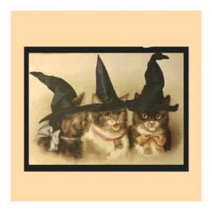 Carte Postale Halloween Vintage Chats Noirs