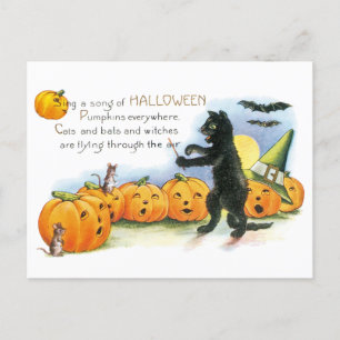 Carte Postale Halloween vintage Salutation Chat noir JackoLanter