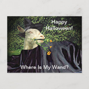 Carte Postale Halloween Wizard Goat