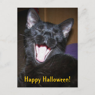 Carte postale Halloween Yawn Black Cat