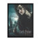 Hallows - Bellatrix Lestrange 2