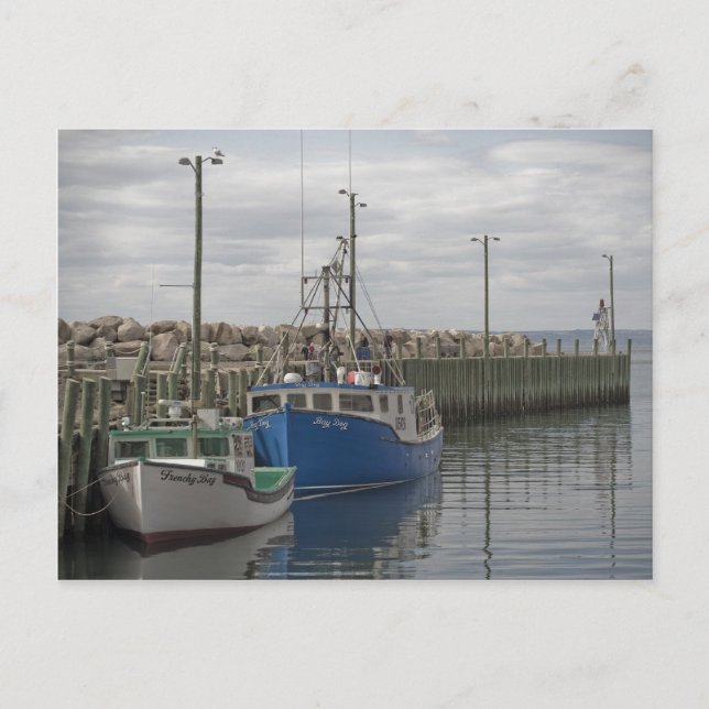 Carte postale Hall's Harbour (Devant)