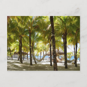 Carte Postale Hammock et Palm Trees