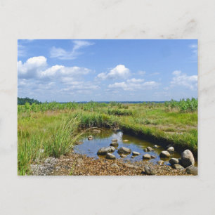 Carte postale Hammonasset