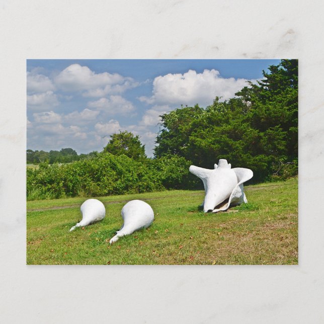 Carte postale Hammonasset (Devant)