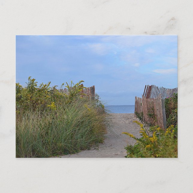 Carte postale Hammonasset (Devant)