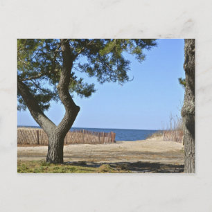 Carte postale Hammonasset Beach