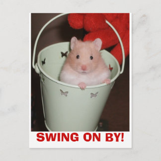 Carte Postale hamster