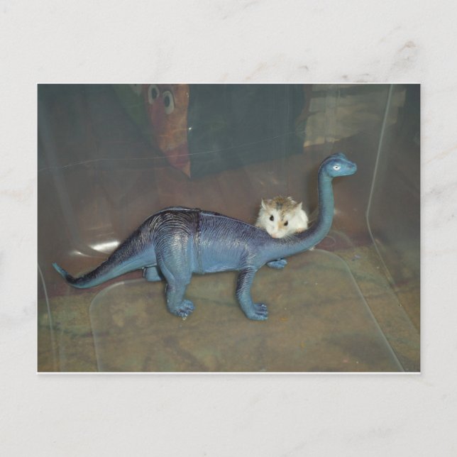 Carte Postale Hamster sur un dinosaure (Devant)