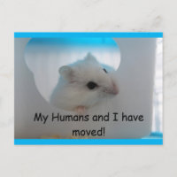 Carte postale Hamster We Moved