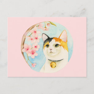 Carte Postale Hanami   Illustration japonaise du chat-caricature