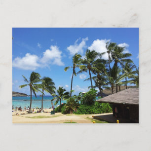 Carte Postale Hanauma Bay Hawaii Cocotiers