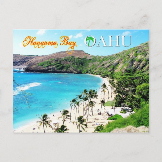 Carte Postale Hanauma Bay, Oahu - Le paradis du tueur (Devant)