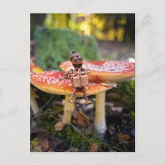Carte Postale Happy Acorn Elf Birthday Greeting Card