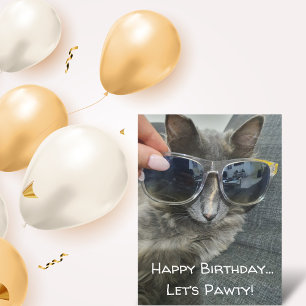 Carte Postale "happy anniversaire Let's pawty" drôle photo chic 