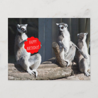 Carte Postale Happy Birthday