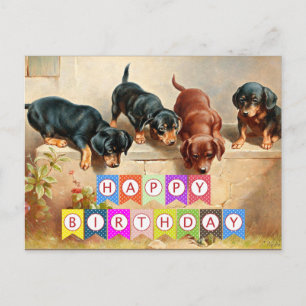 Carte Postale Happy Birthday, Dachshund puppies,