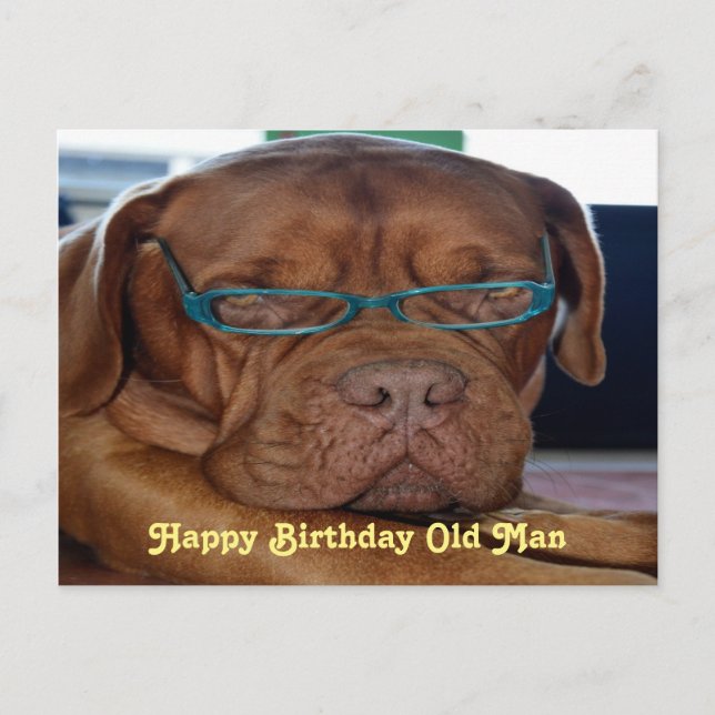 Carte Postale Happy Birthday vieux chien imprimé (Devant)