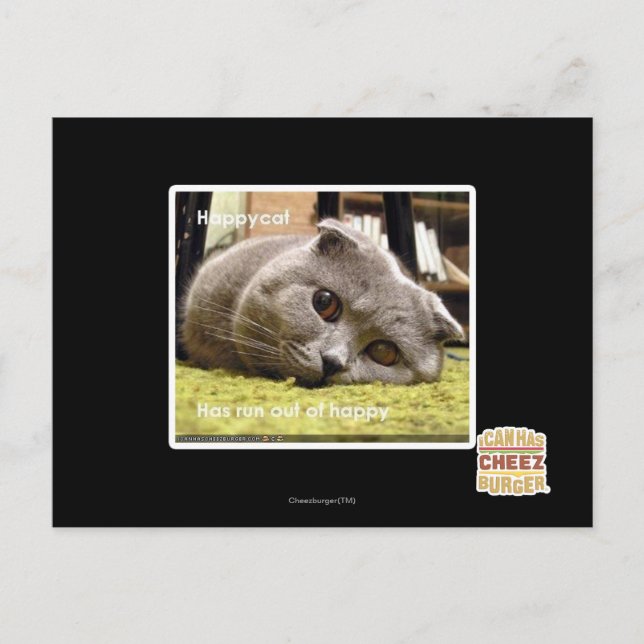 Carte Postale Happy cat, de happy (Devant)